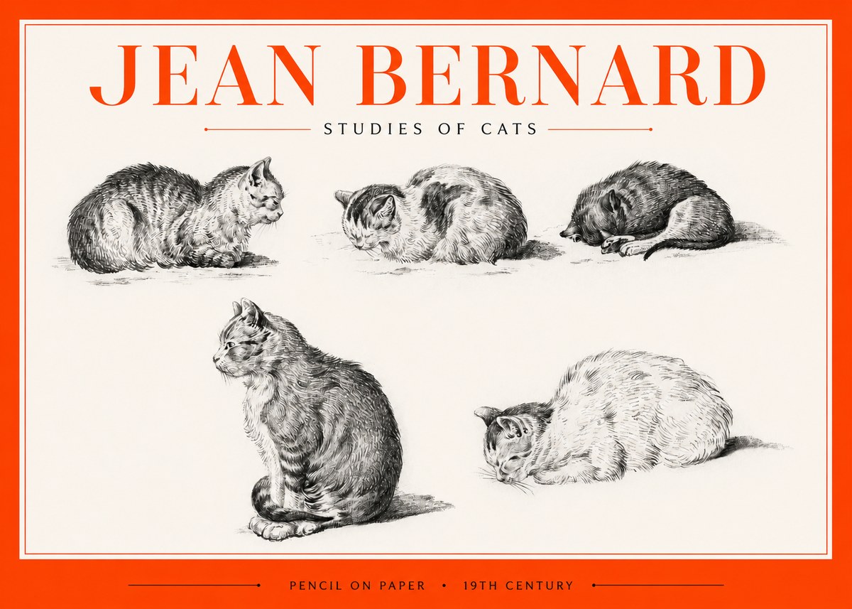 Jean Bernard Studies of Cats No2 - Affiche