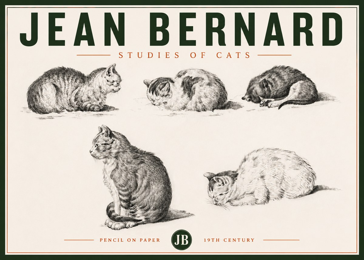 Jean Bernard Studies of Cats No4 - Affiche