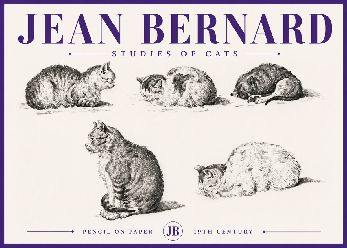 Jean Bernard Studies of Cats No5 - Affiche
