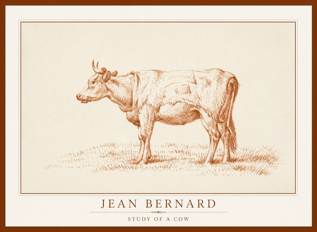 Jean Bernard Study of a Cow XIX No1 - Affiche