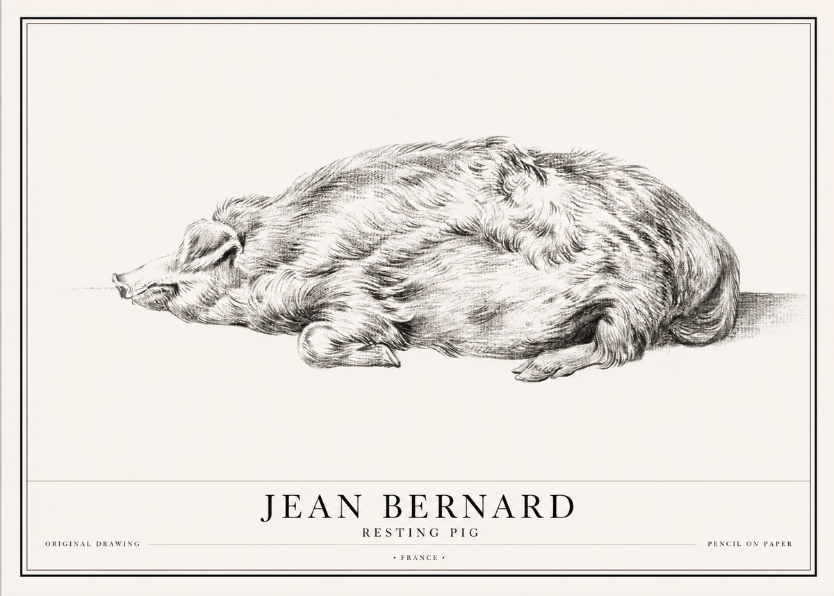 Jean Bernard Resting Pig II No1 - Affiche