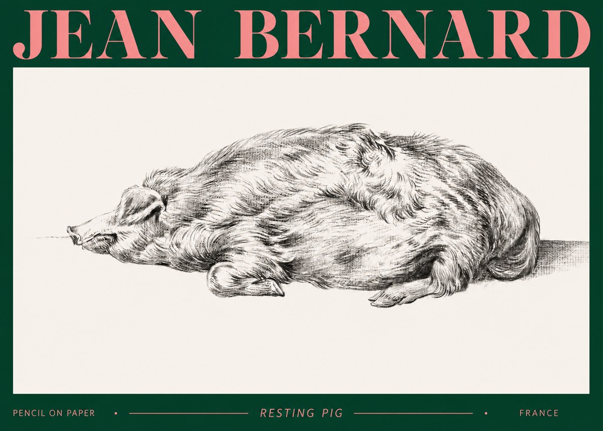 Jean Bernard Resting Pig II No2 - Affiche