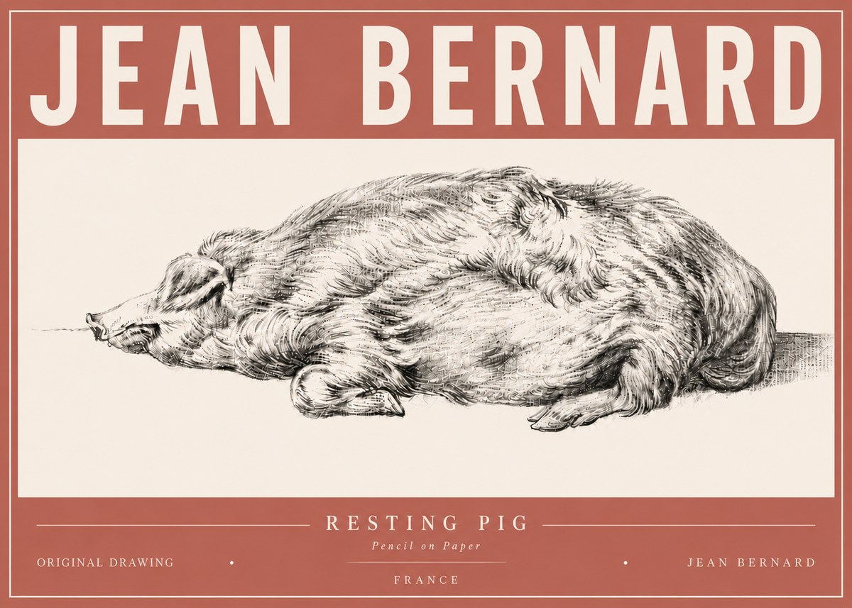Jean Bernard Resting Pig II No6 - Affiche