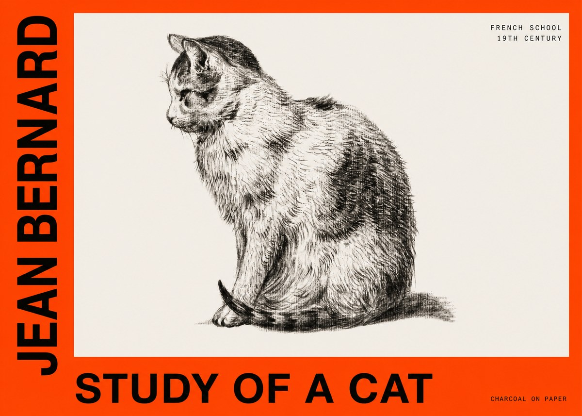 Jean Bernard Study of a Cat IV No6 - Affiche