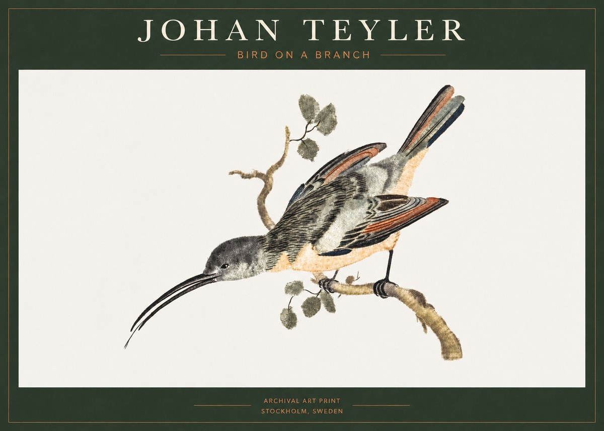 Johan Teyler Bird on a Branch No1 - Affiche