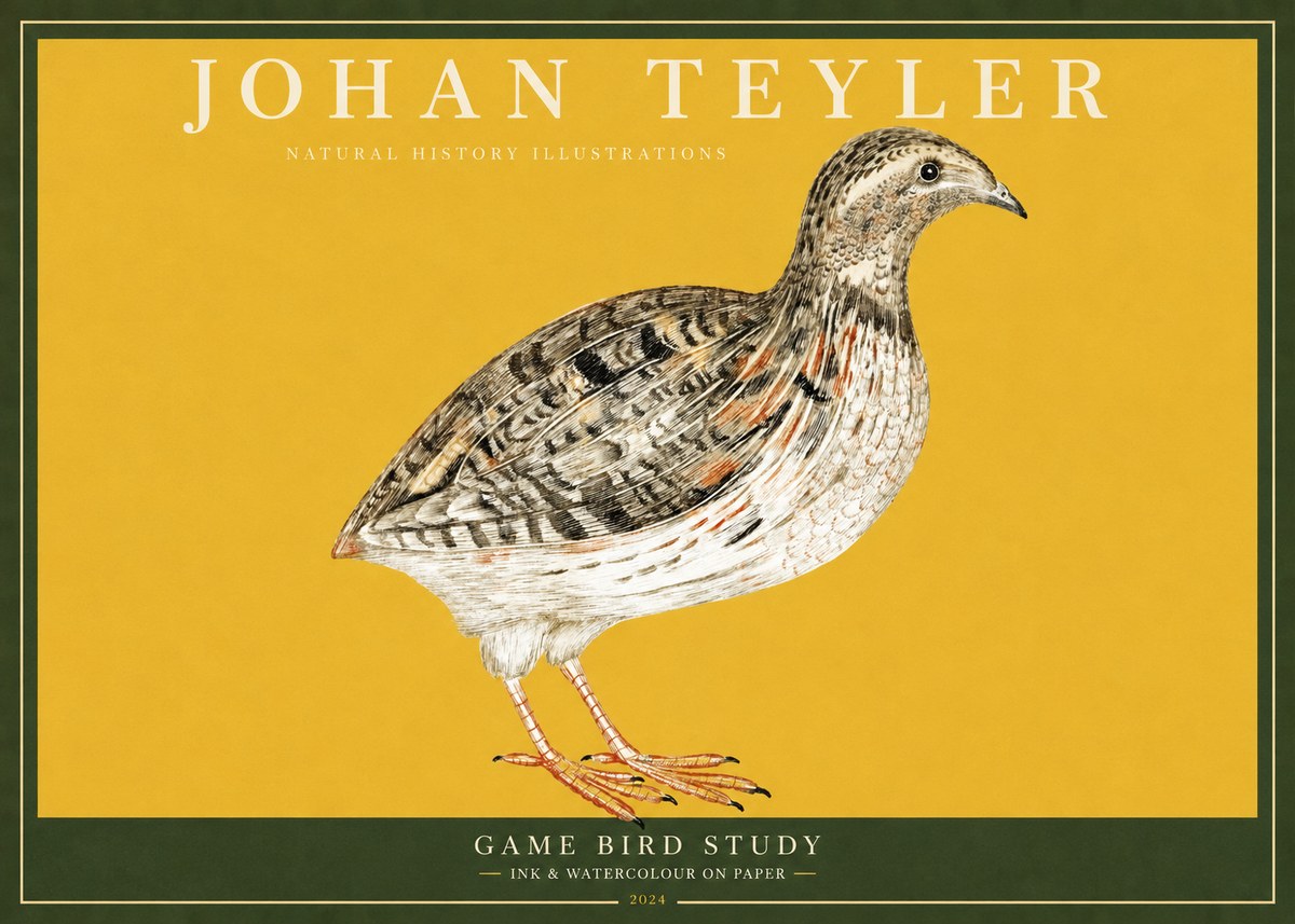 Johan Teyler Game Bird Study No2 - Affiche