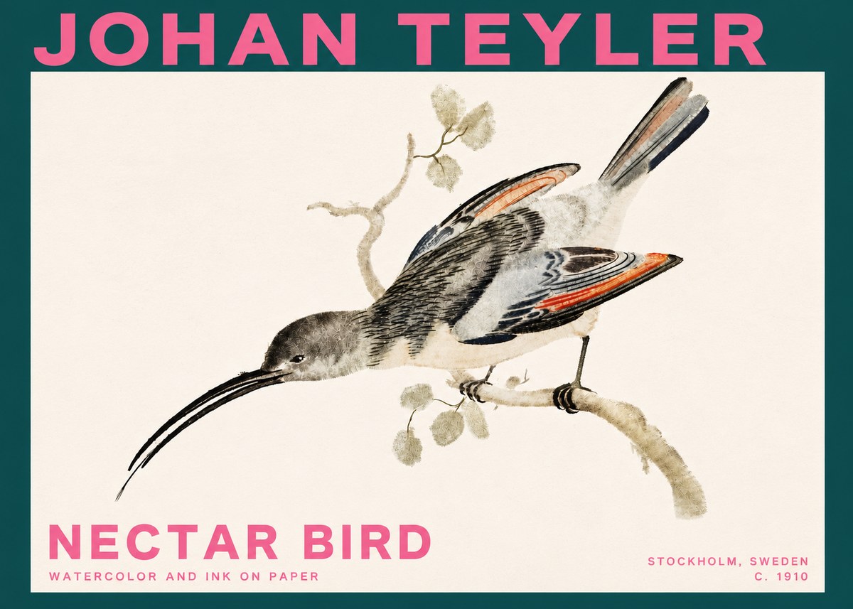 Johan Teyler Nectar Bird No3 - Affiche
