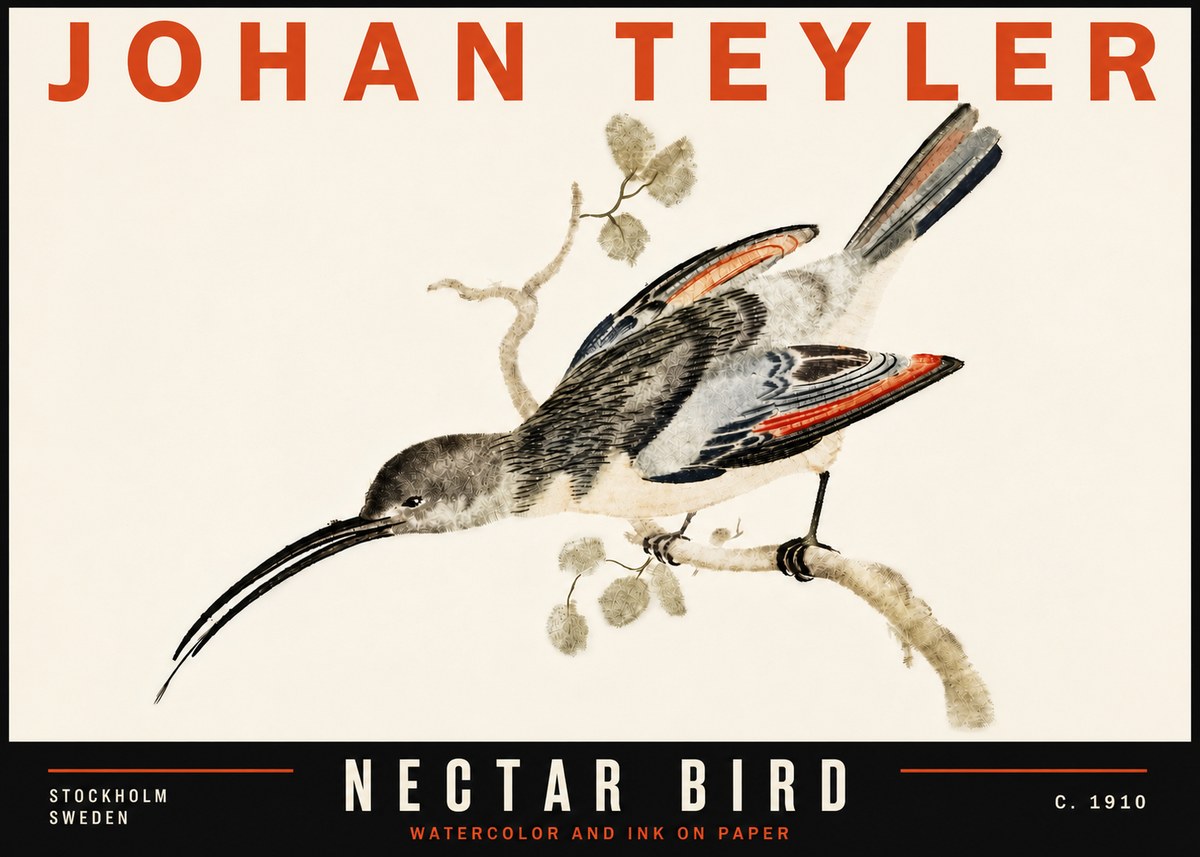 Johan Teyler Nectar Bird No6 - Affiche