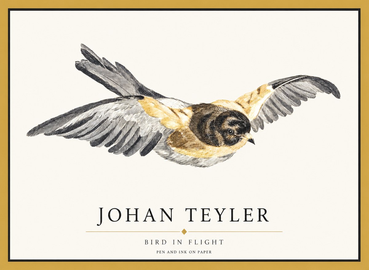 Johan Teyler Bird in Flight I No1 - Affiche
