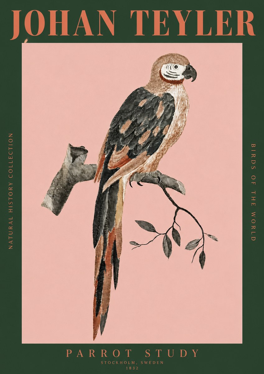 Johan Teyler Parrot Study I No2 - Affiche