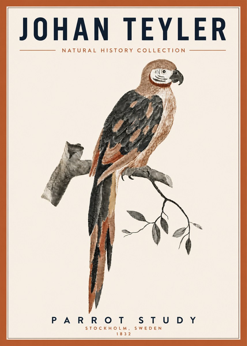 Johan Teyler Parrot Study I No3 - Affiche