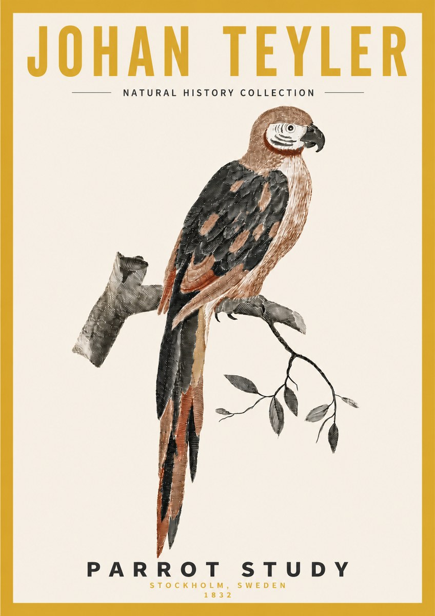 Johan Teyler Parrot Study I No4 - Affiche