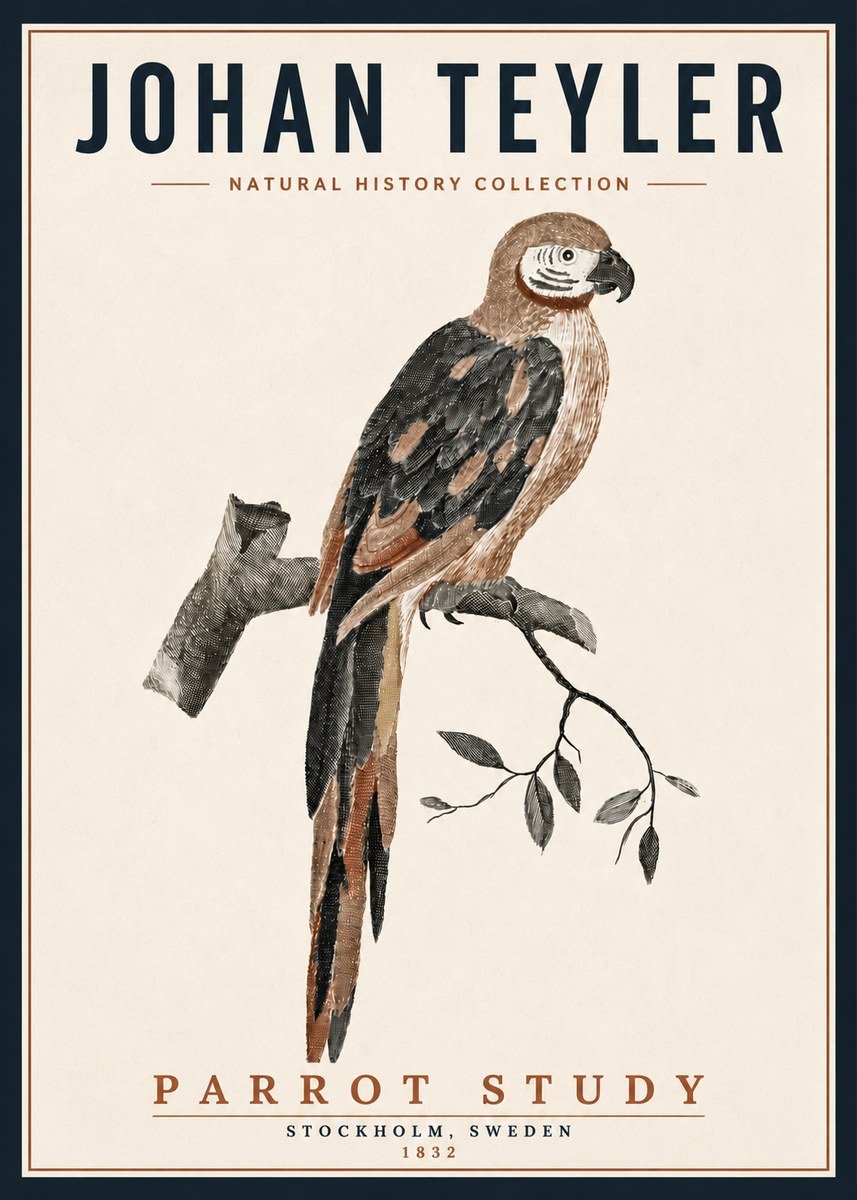 Johan Teyler Parrot Study I No5 - Affiche