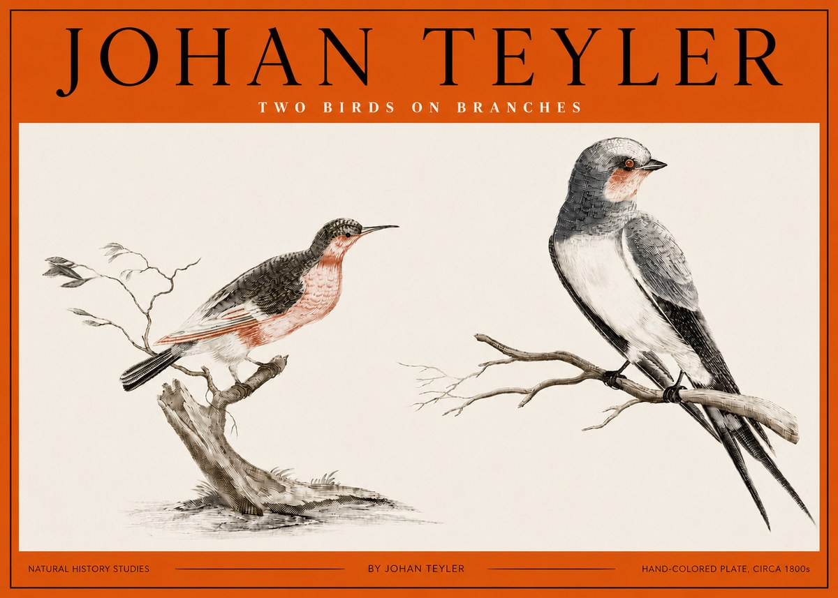 Johan Teyler Two Birds on Branches No2 - Affiche
