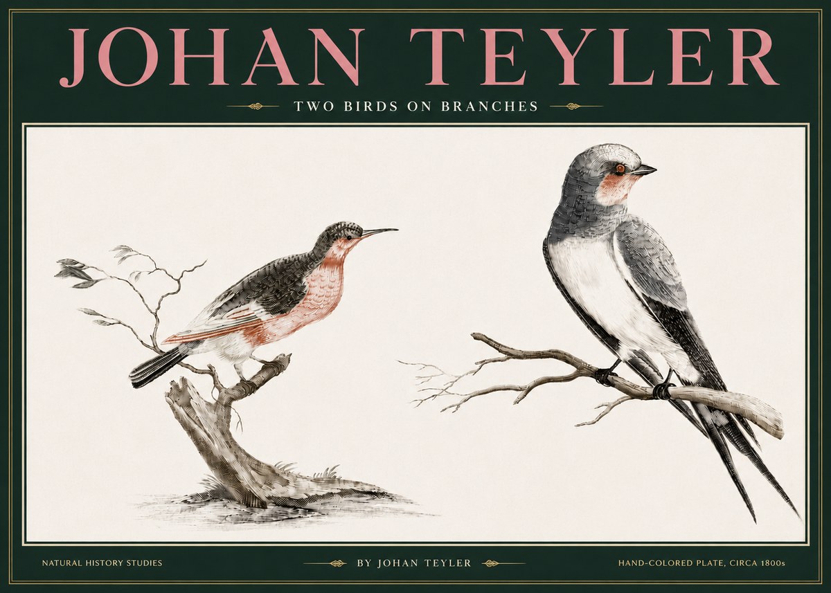 Johan Teyler Two Birds on Branches No3 - Affiche