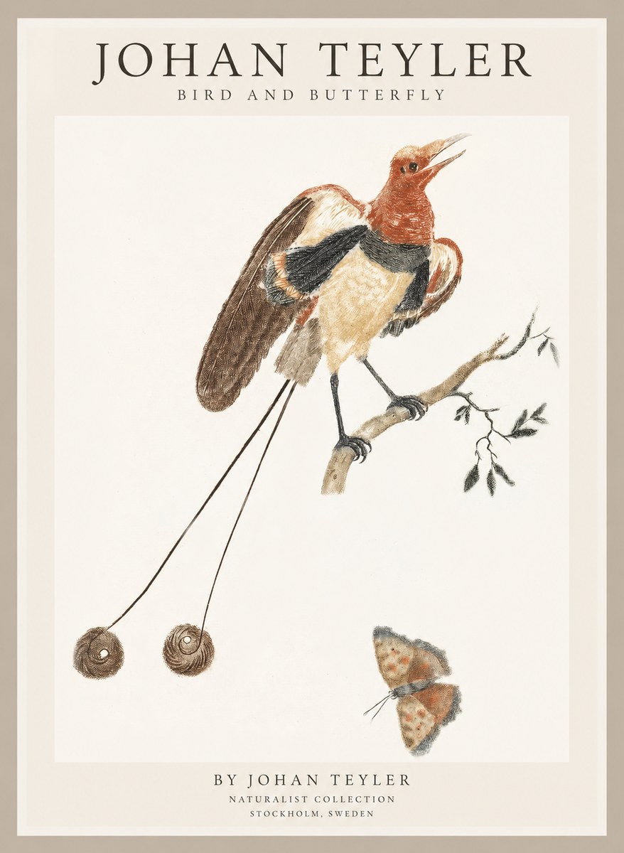 Johan Teyler Bird and Butterfly No1 - Affiche