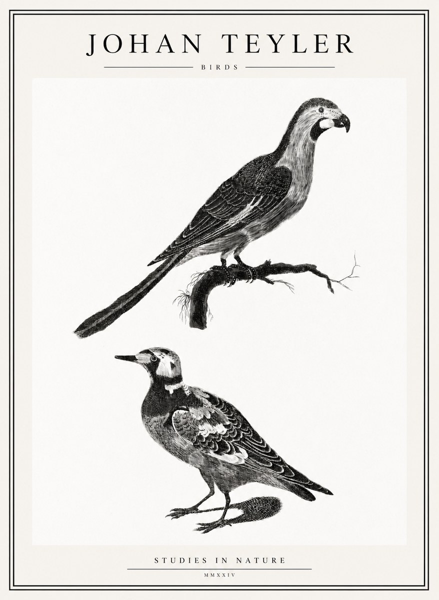 Johan Teyler Birds - Study of Two Species No2 - Affiche