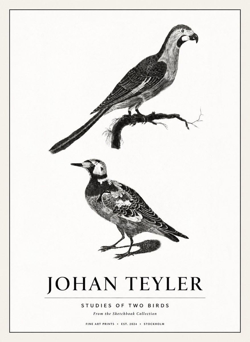 Johan Teyler Birds - Study of Two Species No3 - Affiche