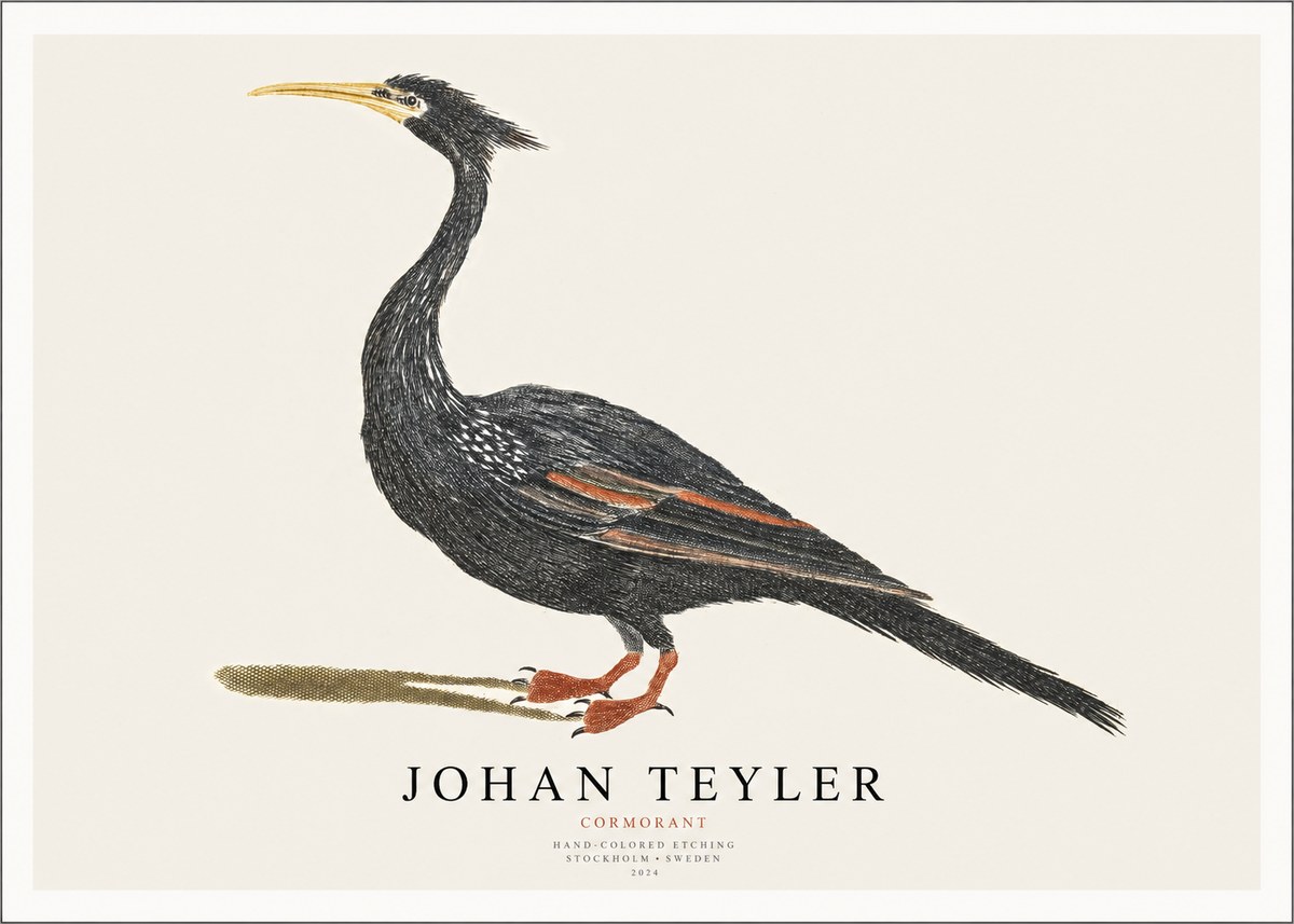 Johan Teyler Cormorant No1 - Affiche