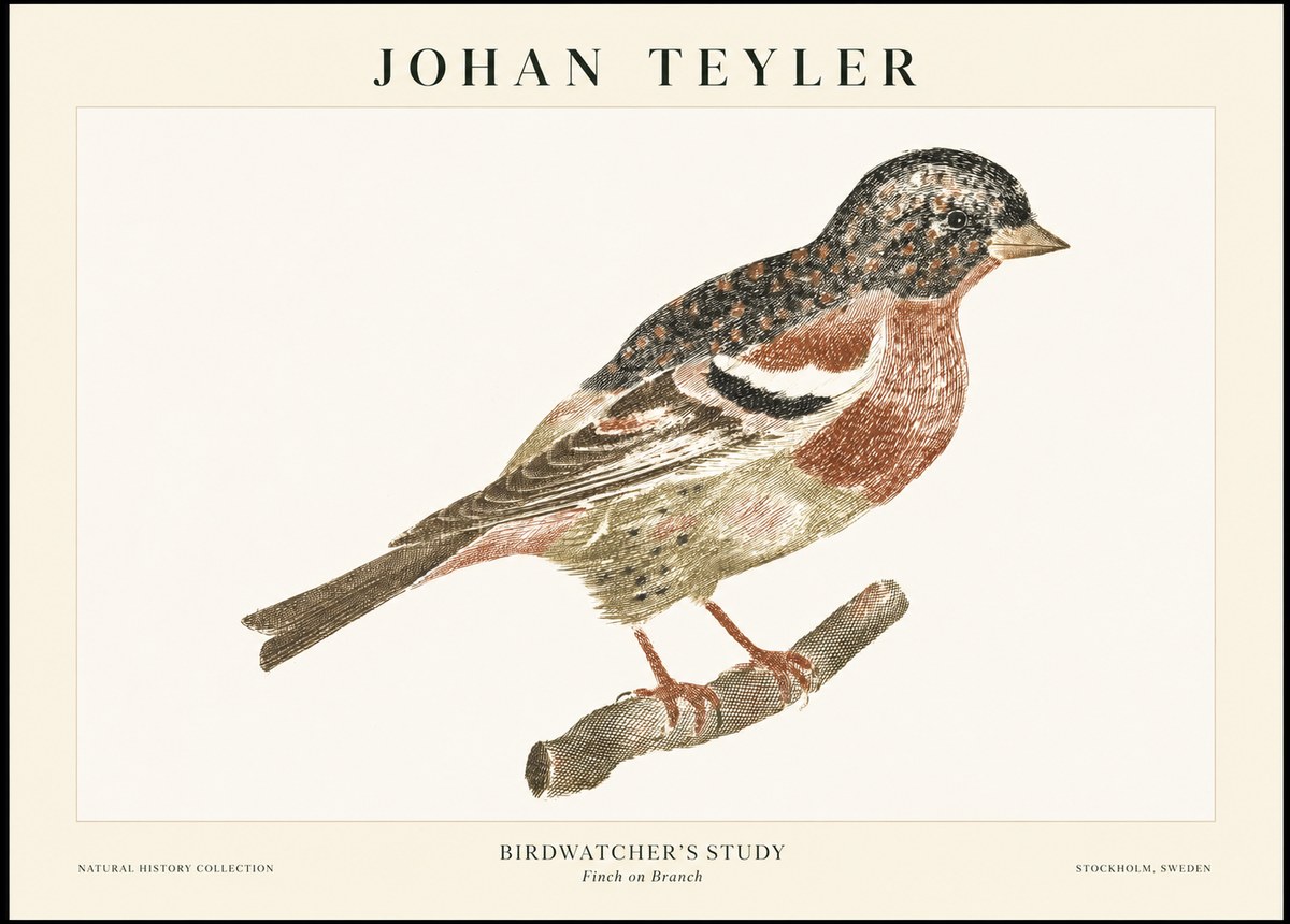 Johan Teyler Finch on Branch No1 - Affiche