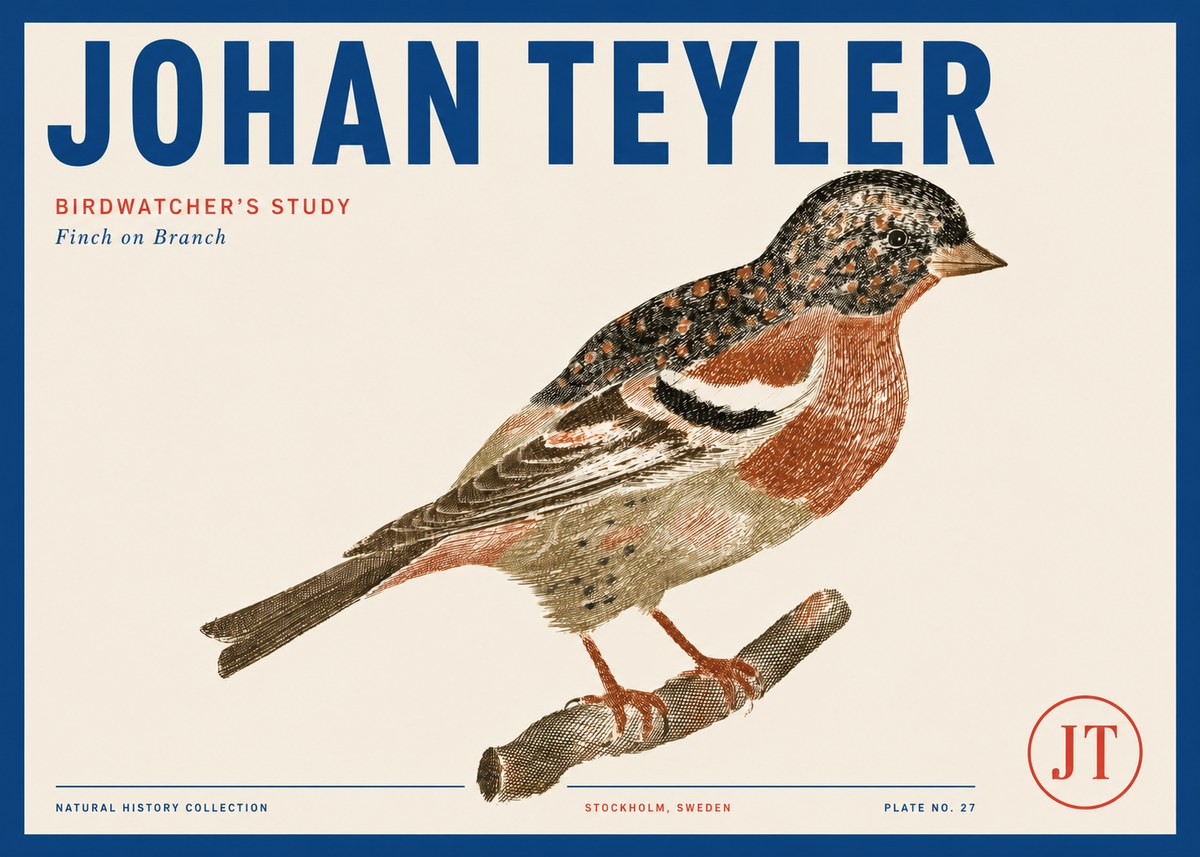 Johan Teyler Finch on Branch No3 - Affiche