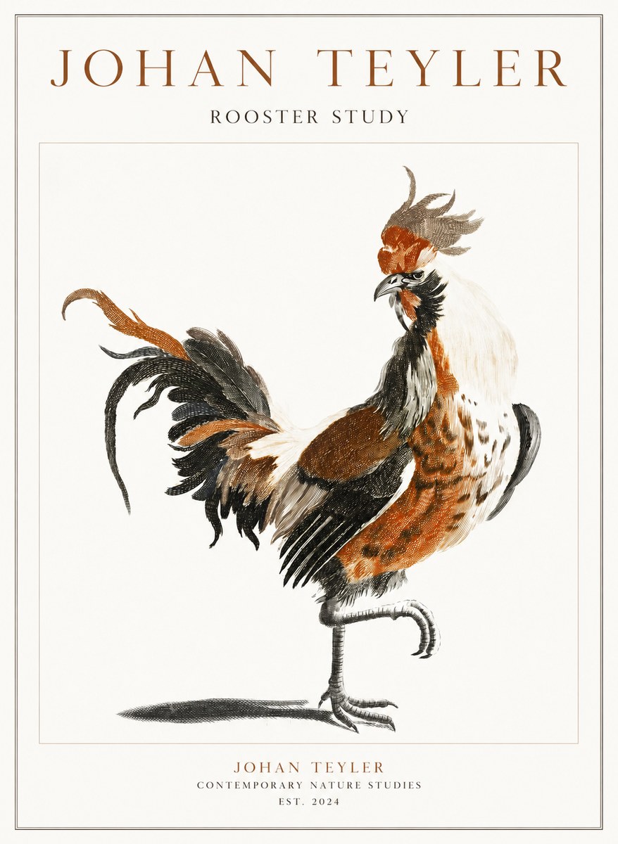 Johan Teyler Rooster Study No1 - Affiche