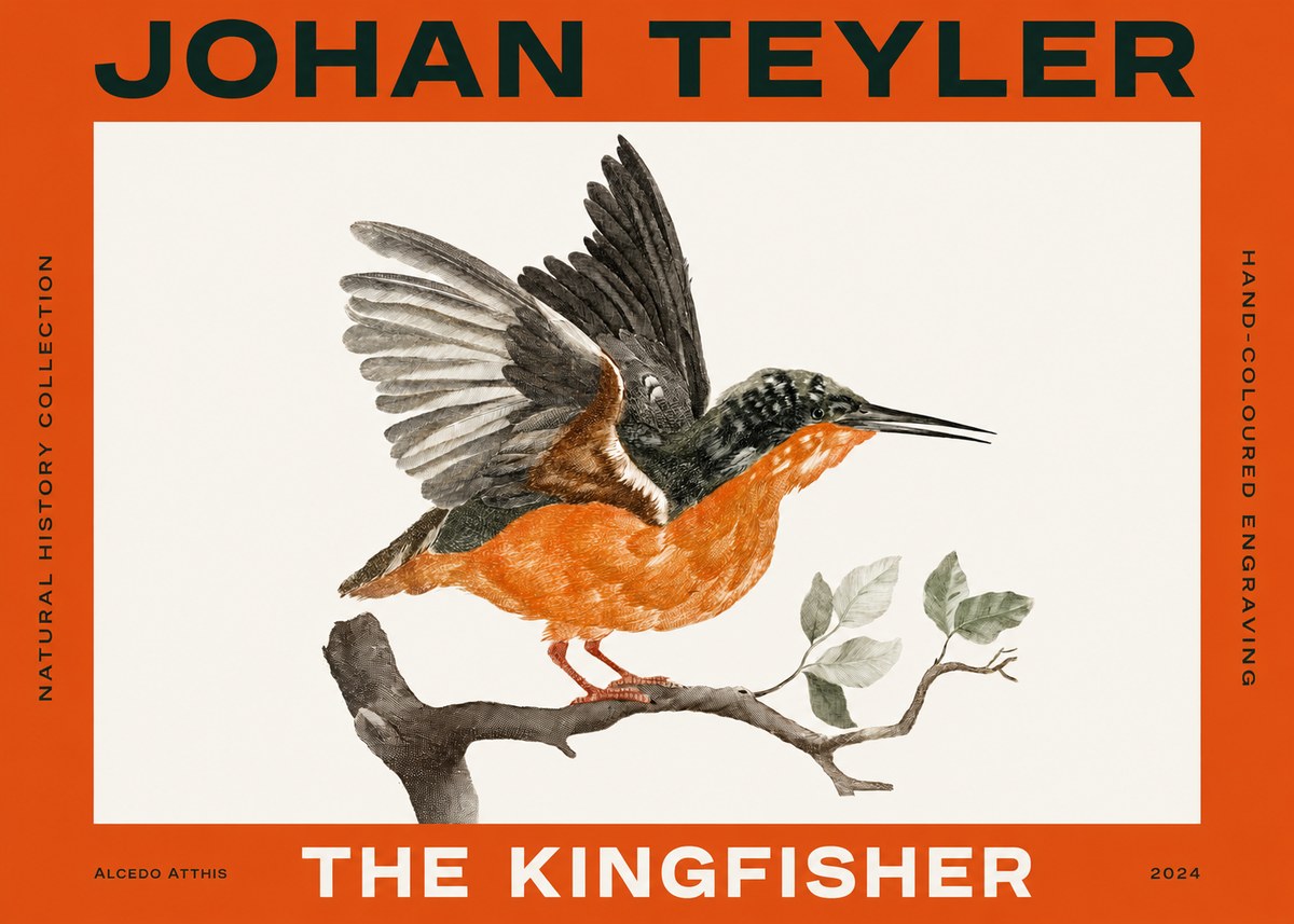 Johan Teyler Kingfisher No4 - Affiche