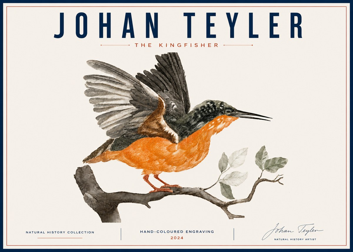 Johan Teyler Kingfisher No6 - Affiche