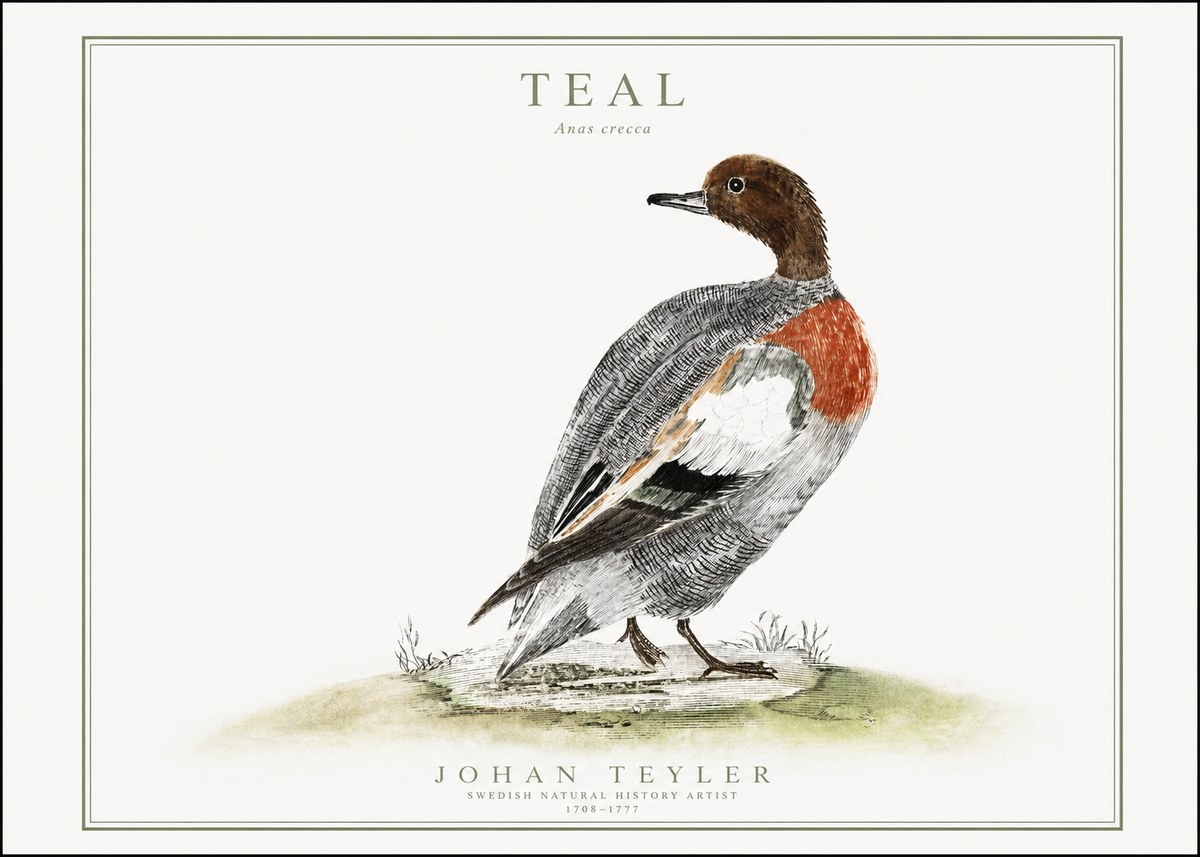 Johan Teyler Teal No1 - Affiche