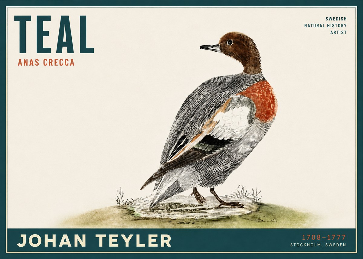 Johan Teyler Teal No2 - Affiche