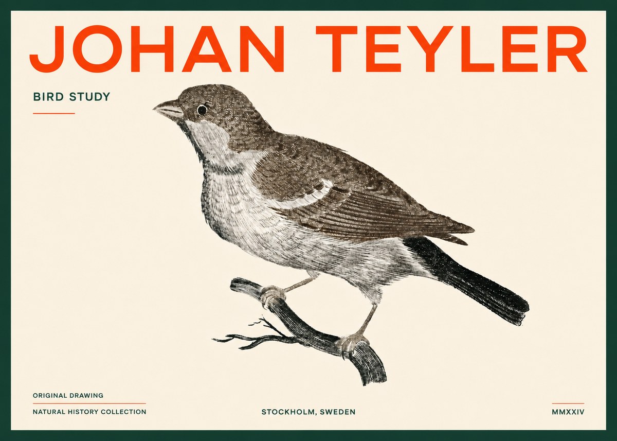 Johan Teyler Bird Study II No5 - Affiche