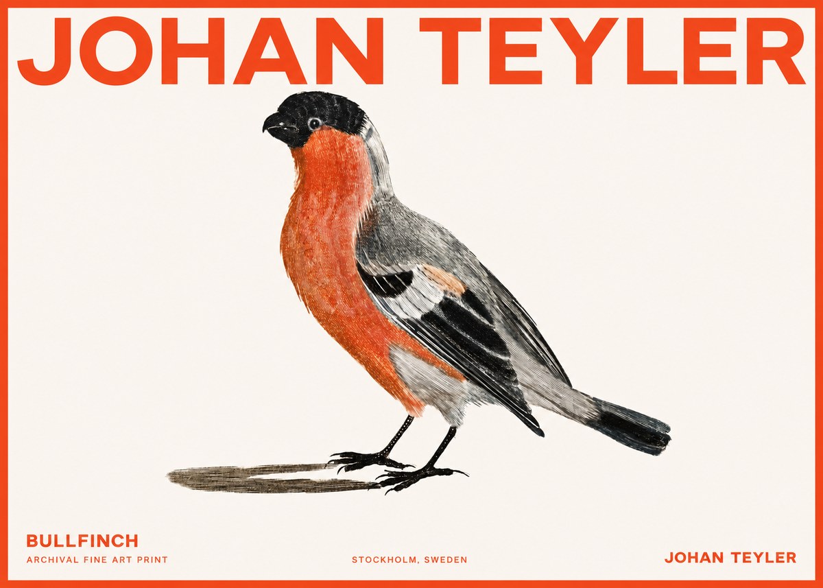 Johan Teyler Bullfinch No2 - Affiche