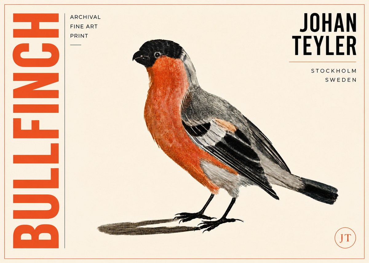 Johan Teyler Bullfinch No3 - Affiche