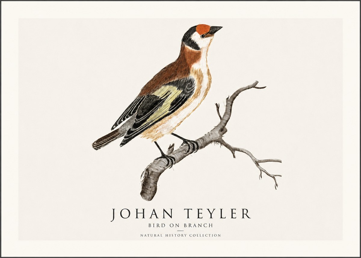 Johan Teyler Song of the Finch No2 - Affiche