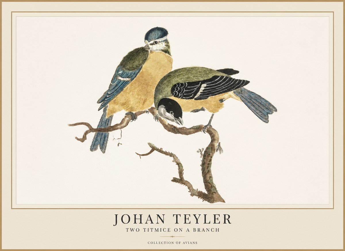 Johan Teyler Two Titmice on a Branch No1 - Affiche