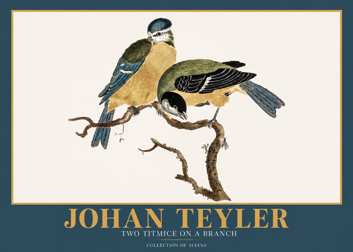 Johan Teyler Two Titmice on a Branch No2 - Affiche