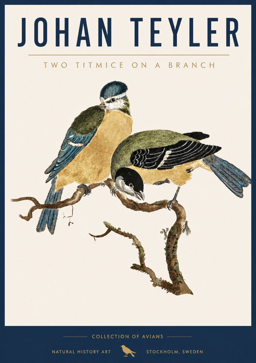 Johan Teyler Two Titmice on a Branch No5 - Affiche