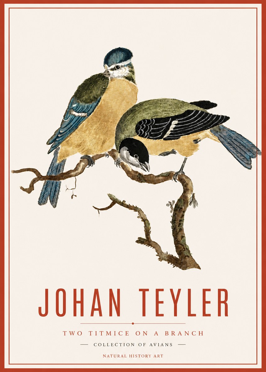 Johan Teyler Two Titmice on a Branch No6 - Affiche