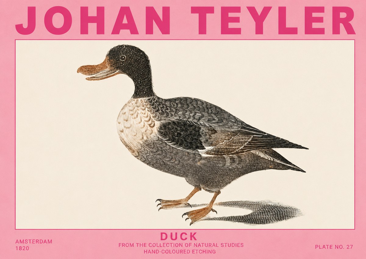 Johan Teyler Duck I No5 - Affiche