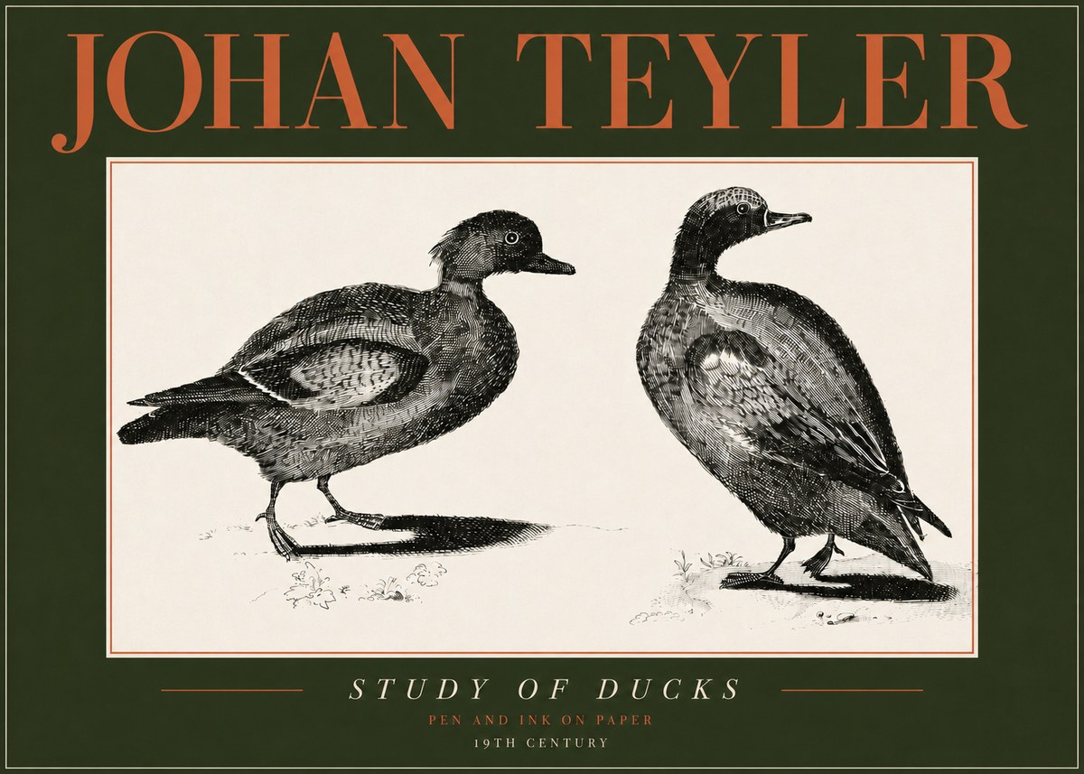 Johan Teyler Study of Ducks No4 - Affiche