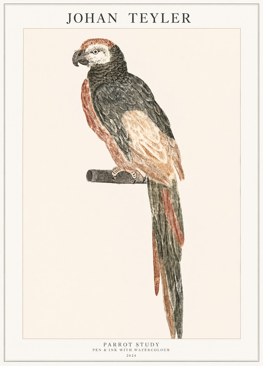 Johan Teyler Parrot Study II No1 - Affiche