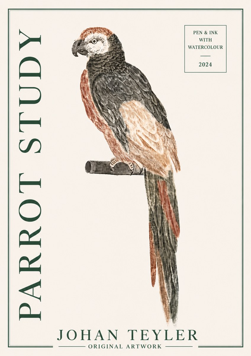 Johan Teyler Parrot Study II No3 - Affiche