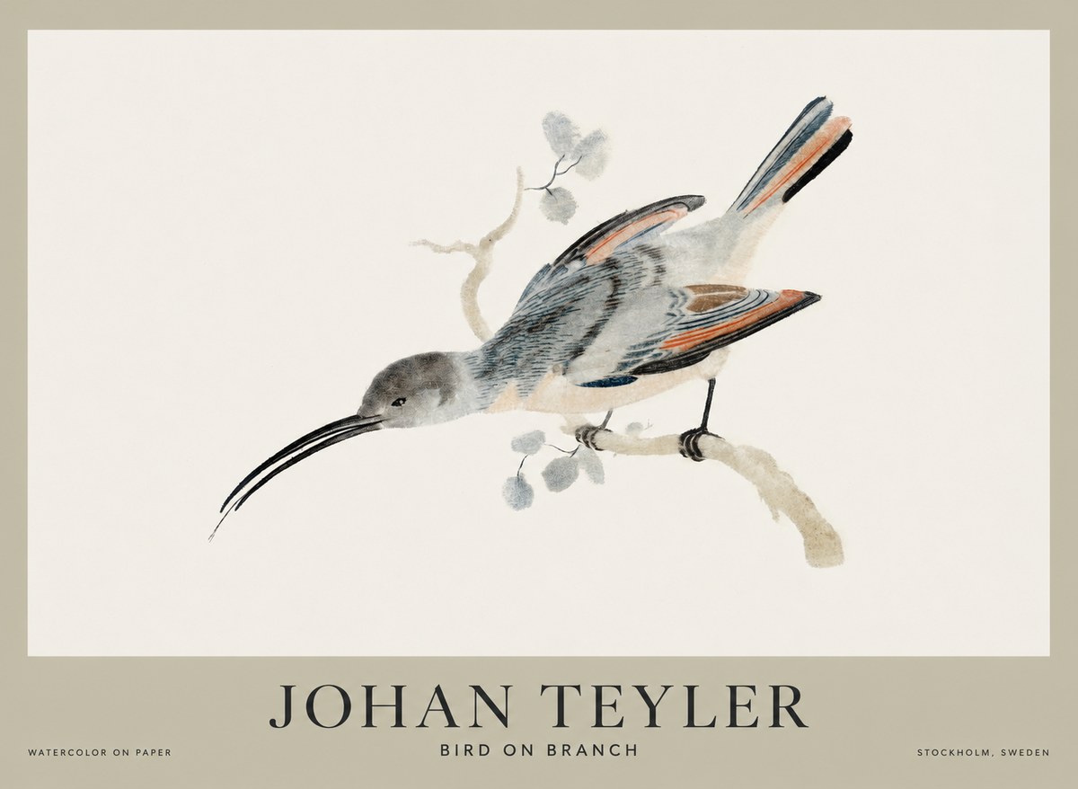 Johan Teyler Bird on Branch I No1 - Affiche