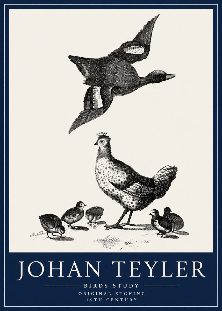 Johan Teyler Birds Study No3 - Affiche