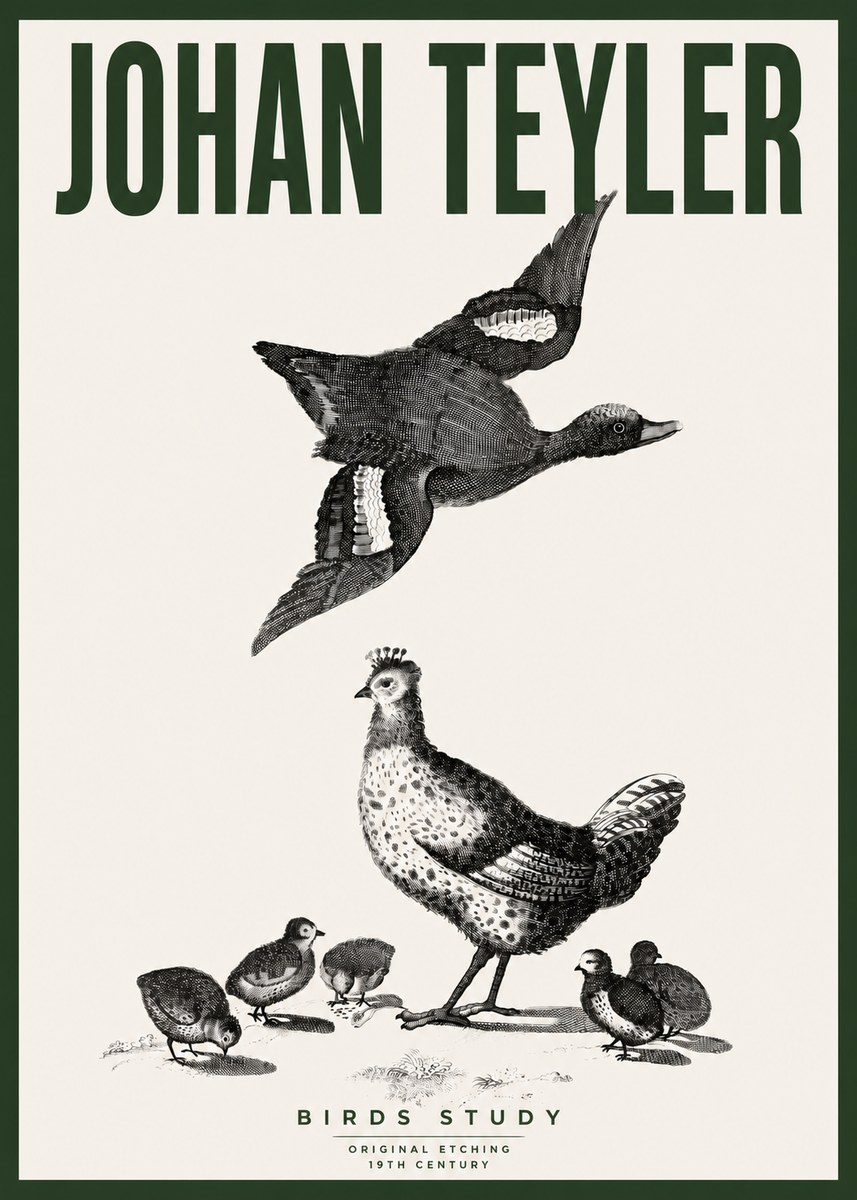 Johan Teyler Birds Study No4 - Affiche