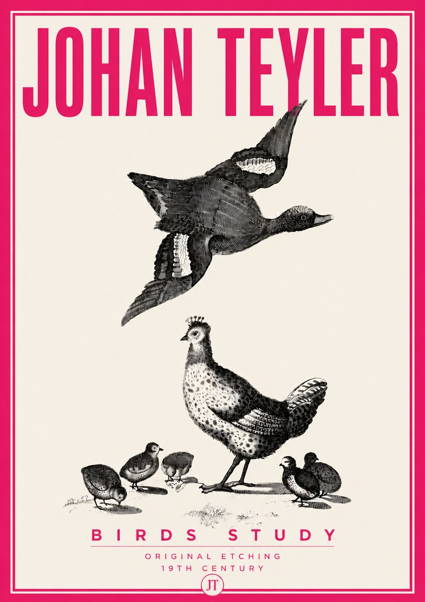 Johan Teyler Birds Study No6 - Affiche