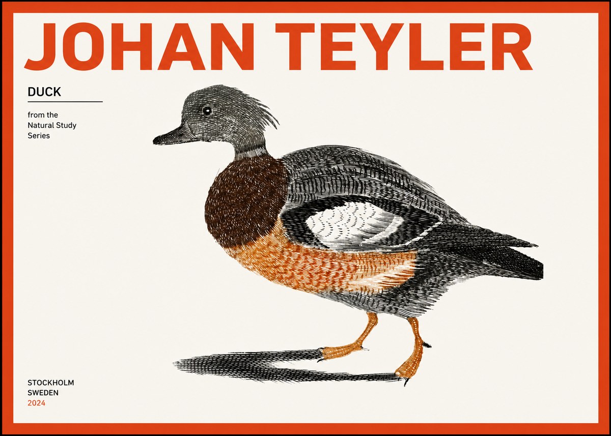 Johan Teyler Duck II No2 - Affiche