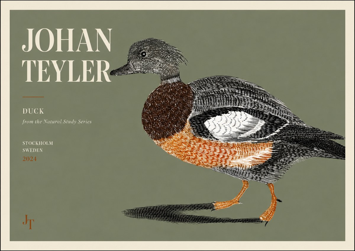 Johan Teyler Duck II No3 - Affiche