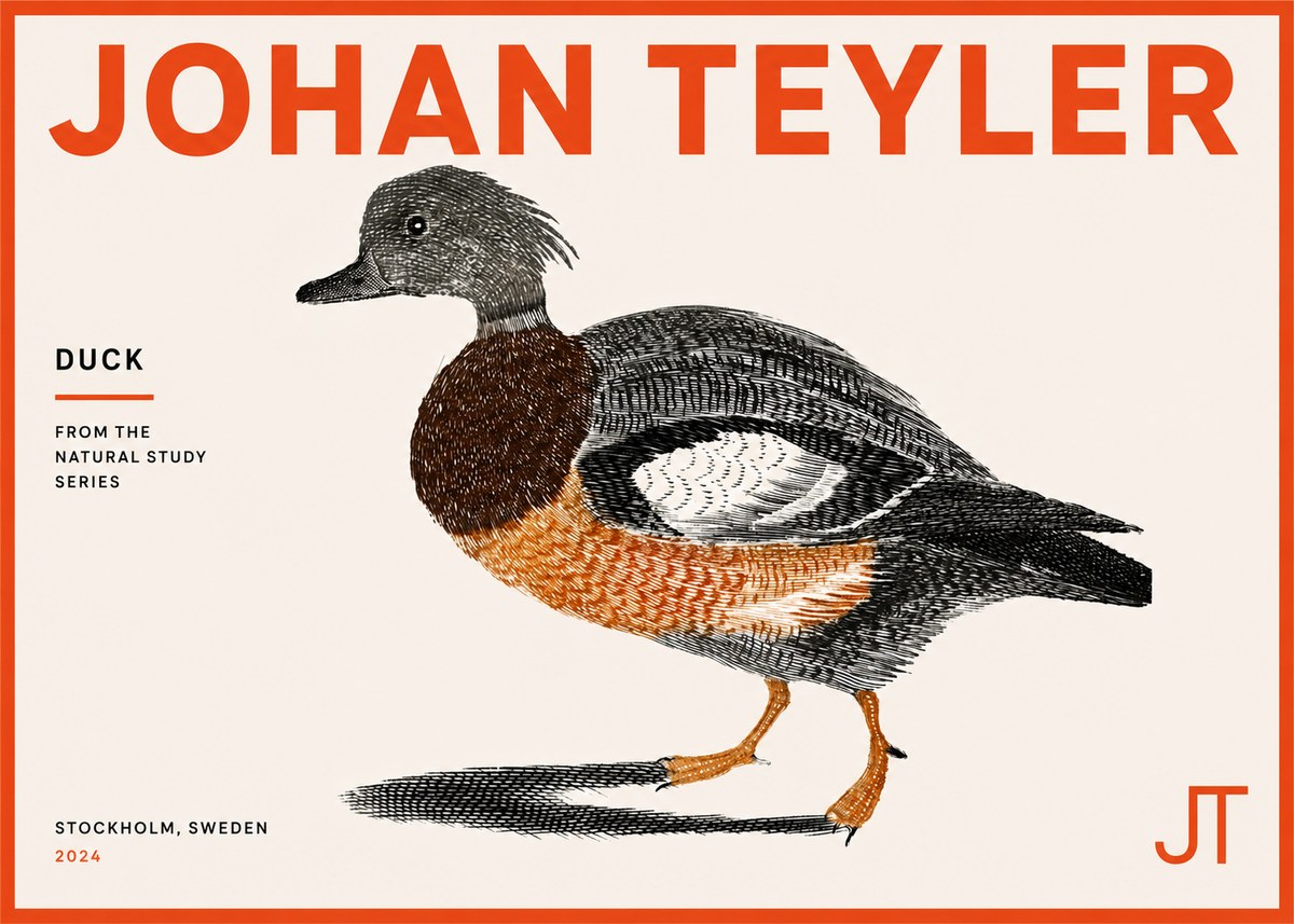 Johan Teyler Duck II No5 - Affiche
