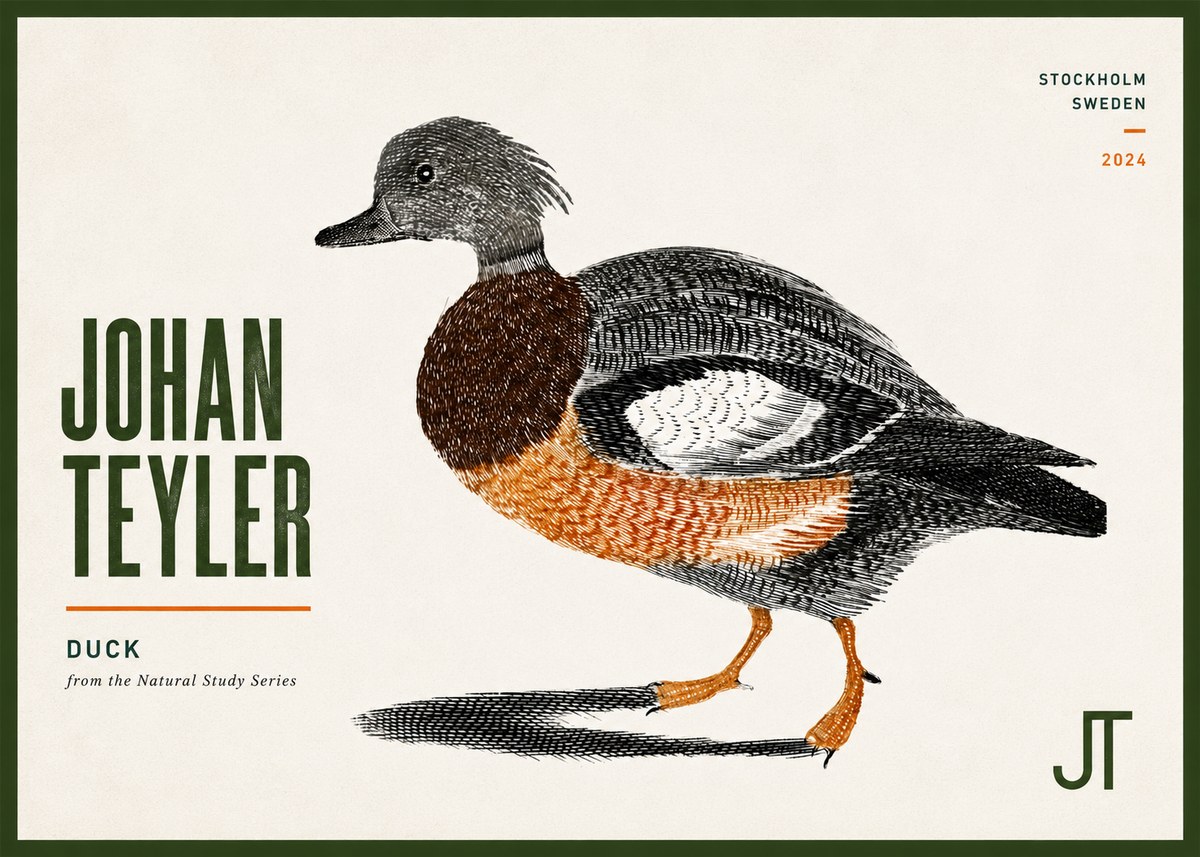 Johan Teyler Duck II No6 - Affiche